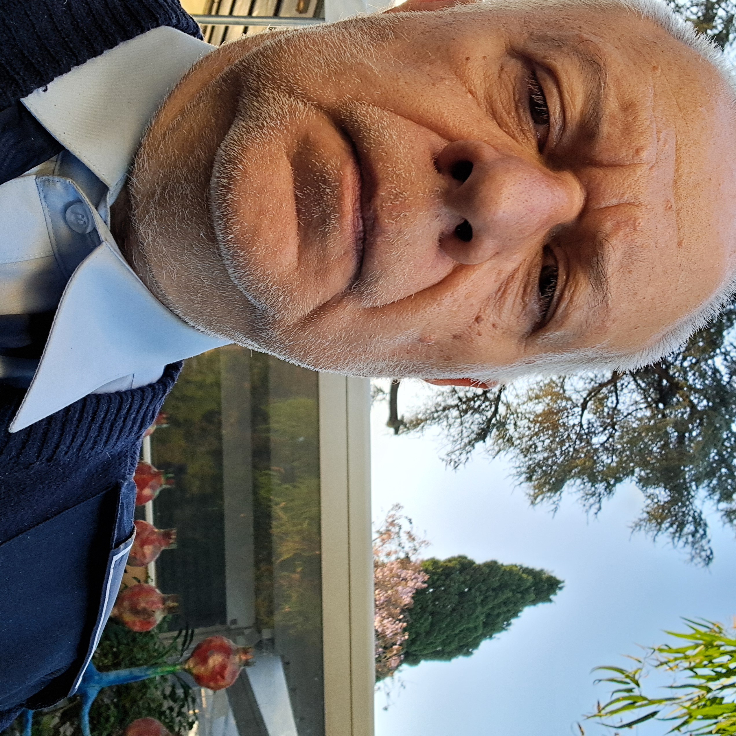 Foto profilo